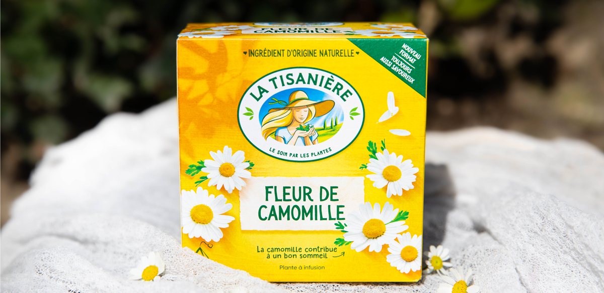 Infusion Fleur de Camomille, un mélange tout en douceur